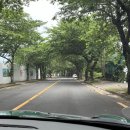 하랑민박 | 수수민박 스탭이 된 소희의 제주살이 21~22일차