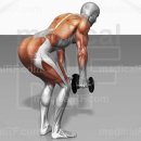 스탠딩 벤트오버 래터럴 레이즈(standing bent over lateral raise) 이미지