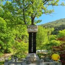 RR-23[만세로]-상-415 | 문화재가 많은 사찰, 의성 고은사(경북 의성군 단촌면 고운사길 415, 단촌면 구계리 116)