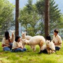 알파카정비 이미지