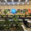 초지로사거리(주공14단지) | 샤브올데이 서울상계점 주차 및 만족V불만족 솔직후기