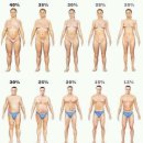 위너피티 이미지