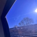 [챌추] 압구정스튜디오, 압구정로데오역 강남가족사진 호야의정원 스튜디오 후기