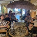 천변3호 이미지