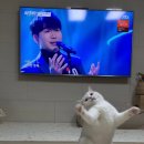 재미진동네 이미지