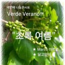 아모르몰