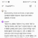 챗gpt에 튼동의 뜻을 물어봤더니 이미지