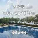 3월 17일 정기스크린 팀/방배정 이미지