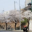 파워오디오 | 2026 로이코 오디오쇼 후기