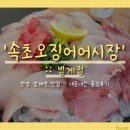 말괄냥이 | 안양 범계역 맛집] 가성비 좋은 대방어 맛집 &#39;속초오징어어시장 범계점&#39; 내돈내산 솔직후기 (ft.범계 횟집)