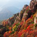 물들어간다는 것은 이미지