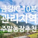 옥천랜드공인중개사사무소 이미지