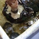 SARA | 흙과 함께한 감성 시간, 도자기 클래스 Clay Studio SARA 후기