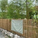 작은복골 이미지