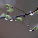 시시때때