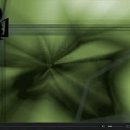 한국유도원 이미지