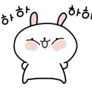 플로정아 - 11733 | 플로정아