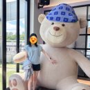 바이올렛커피&브런치 | [내돈내산] 세종 한솔동 바이올렛 커피앤브런치 방문 후기 🐾