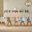 노노스 | 내돈내산 5년 쓰고 또 구매한 에펠 원목 식탁의자 저렴하고 예쁜 의자 소개