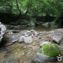 기백산 용추계곡과 용추폭포 이미지