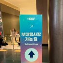 스카이 | 2025 스카이페스티벌 후기 (미연,헤이즈,크러쉬,성시경)