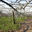 정우배농장 이미지