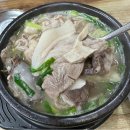 인연돼지