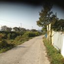 안성 월동천 이미지