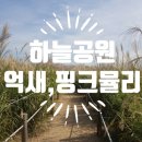 마포-상암-마포-665 | [10월가을축제]맹꽁이 전기열차타고 하늘공원 억새밭 갈대 축제보러 갔다 핑크뮬리까지!+하늘공원가는방법