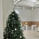 에이플러스 | [부천 원종동 필라테스] 내 기준 1티어 에이플러스필라테스 솔직후기 (feat. 다이어트)