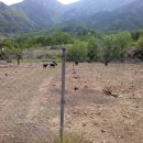 은티농장 이미지