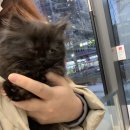 모두애동물병원 이미지