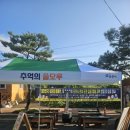 솔모루 | 2025 포천시 솔모루하모니축제 참여 후기