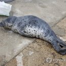 문암수산