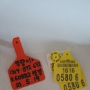 명인목장 이미지