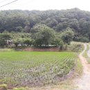 대소원면사무소 이미지