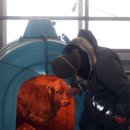 송아목장 이미지