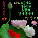 (주)이호 이미지