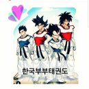 한국부부태권도 이미지