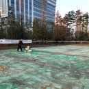 영덕레스피아 농구장 이미지