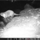 수달수영장 앞 이미지