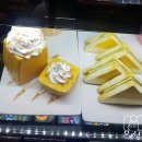 한울초교 이미지