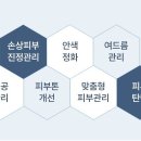 시즌테라피 이미지
