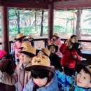 한울숲유치원 이미지