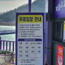 6월 20일 비금도-도초도"수국축제및 퍼플섬투어 정기산행 = #35 이미지