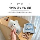 닭발의 꿈 | [강아지 간식] 저지방 고단백 풍부한 콜라겐까지, 시리얼 동결건조 닭발