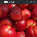 승주농장 이미지