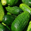 농부와바다 이미지