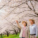 국가산단웰빙온천 | 나이 드는 것도 즐거움! 실버세대 위한 숨겨진 여행지