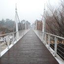 서울숲길 이미지